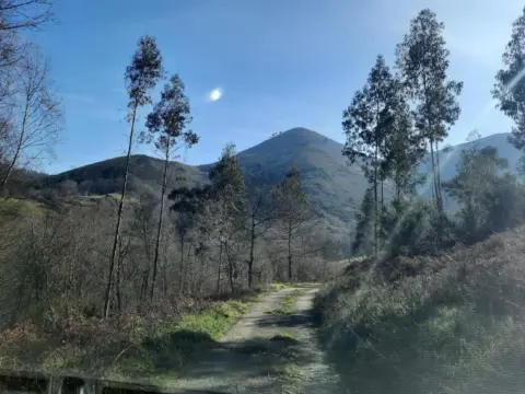 Terreno en Cangas de Onís